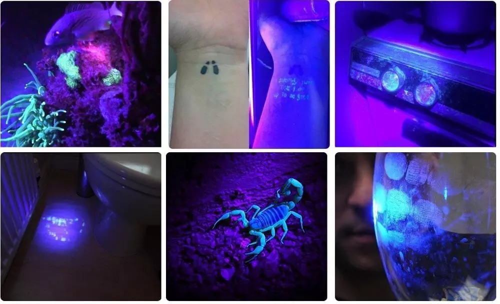 Hunting scorpion 395nm UV Torhlight UltraViolet taschenlampe Dog Cat Pet Urine Detector Backlight Ink curing 9 Led UV Flashlight
